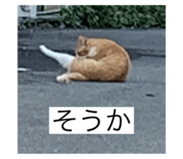 278991294