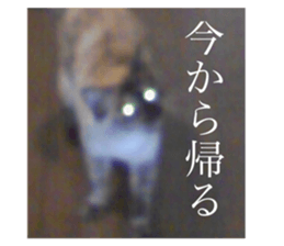 278999479