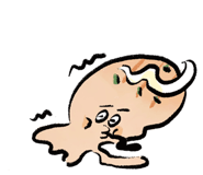 279001044