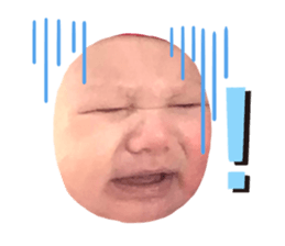 279017013