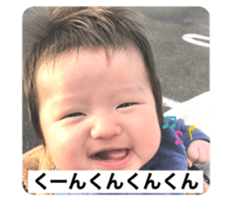 279050469