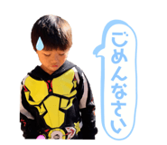 279278155