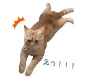 279312592