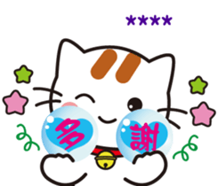 279336339