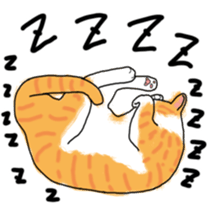 279406309