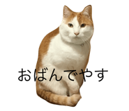 27940977