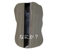 27940984