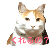 27940985
