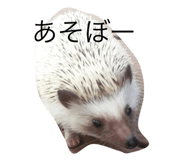 27940987