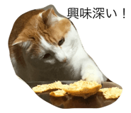 27940989