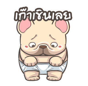 พิกุ - เฟรนช์ บูลด็อก 11 รูปที่ 5