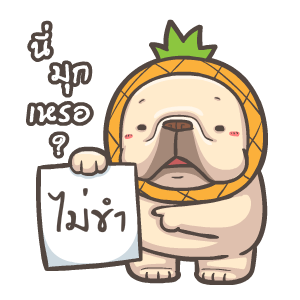 พิกุ - เฟรนช์ บูลด็อก 11 รูปที่ 8
