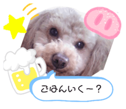 279763996