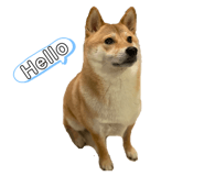 280078865