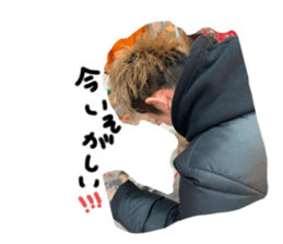 280113735