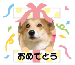 280181500