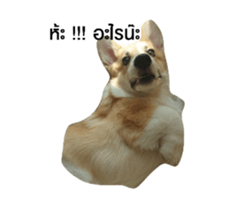 280209807
