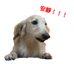 280343500