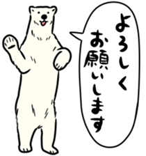 28036016