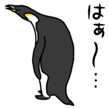 28036031