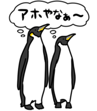 28036033