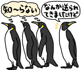 28036034