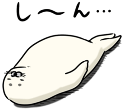 28036037