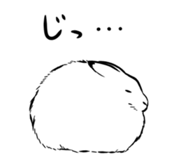 28036041