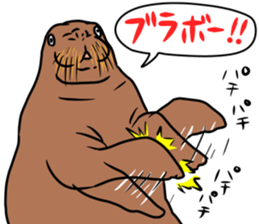28036049