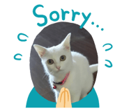 280372786