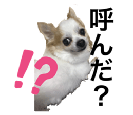 280455672
