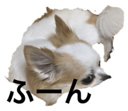 280455673