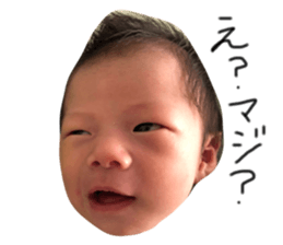 280456132