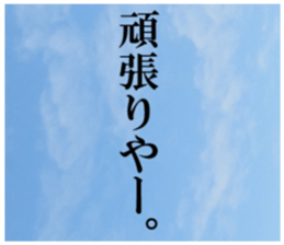 28046546