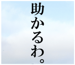 28046554