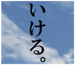 28046564