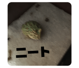 280476996