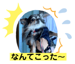 280479602