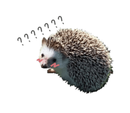 280501118