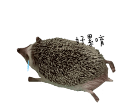 280501121