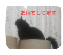 280526680