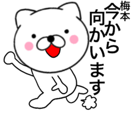 28053384
