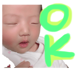280620838