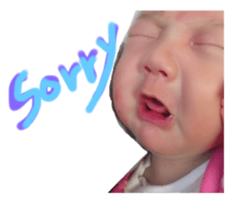 280620842