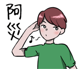 28062229