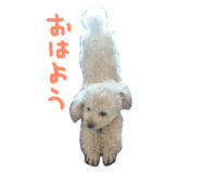 28072709