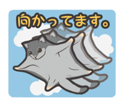 2808079