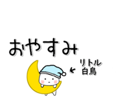 280851021