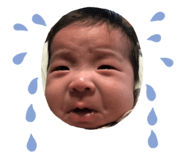 280918834