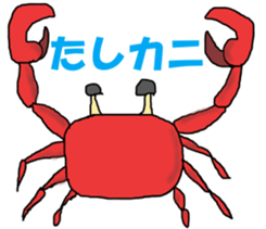 280966041